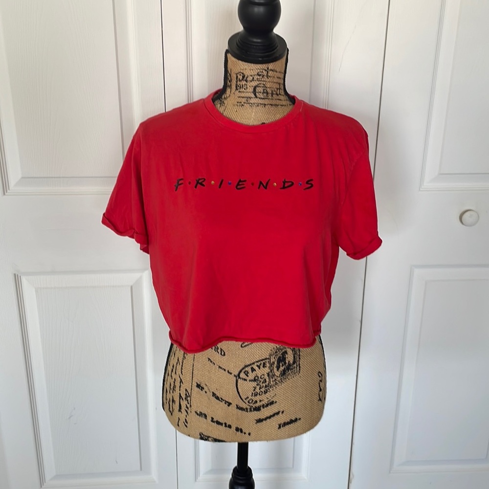 Friends Crop Top